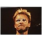 Sting4.jpg